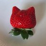 猫猫橘子梨 profil fotoğrafı