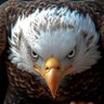 MR Natty's profile picture
