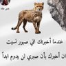 Фото профиля Abu Ayad333