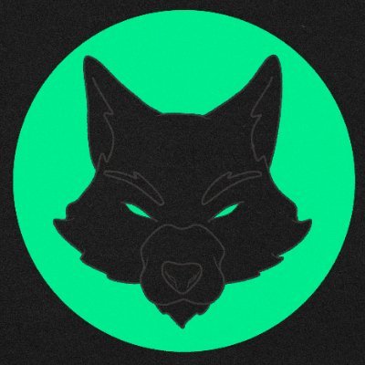 THE WOLVES's profile picture