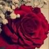 Фото профиля سبحان الله وبحمده