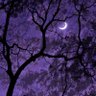 Фото профиля Rohit Kumar