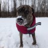 Profilbild von King Orso the great