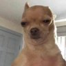 GaryWithTheSauce's profile picture