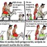 Narval 的头像