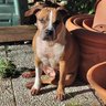 Profilbild von Rinaldo