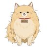 Profilbild von なだめるポメラニアン