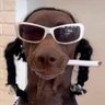 Gerard olivier's profile picture