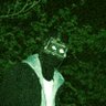 Gun's profile picture