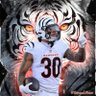 Bengals Anon's profile picture