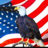 Uncle BS's profile picture