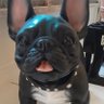 Guido's profile picture