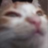 𝘴𝘸𝘢𝘨𝘴𝘪𝘭𝘷𝘦𝘳's profile picture