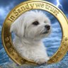 XRP SANDY 的头像