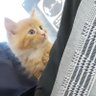 Abu_hudhayfah's profile picture