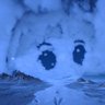 mitko | back from Asia's profile picture