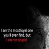 ross_the_sane_of_Cawdor profil fotoğrafı