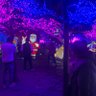 Фото профиля Hong