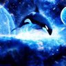 orca's profile picture