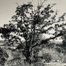 Фото профиля T.ozz