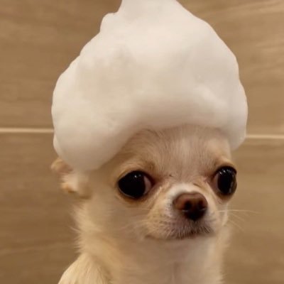 허익덕's profile picture
