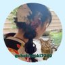 芽衣🐈⬛⸒⸒🌱 profil fotoğrafı