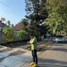 __roosda profil fotoğrafı