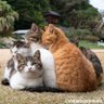 ã«ã³ã»ããŒã« profil fotoÄrafı