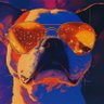 ccddev's profile picture
