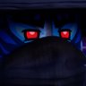 DropGuyツ's profile picture