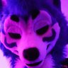 Snowii Slays's profile picture