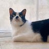 aimee profil fotoğrafı