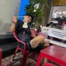 bụm bẩm 的头像