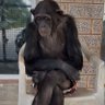 Walid Koteich's profile picture