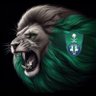 اهلاوي🇾🇪 نخبوي💚 profil fotoğrafı