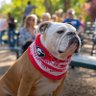 UGA#s profil fotoğrafı