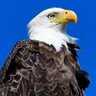 TS-NOLA profil fotoğrafı