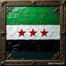 Raad Alhamad's profile picture