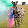Zèbre déçu, le retour. 🦓 的头像