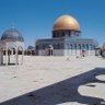 حاتم خليل🇵🇸 的头像