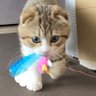 ひいこ 的头像