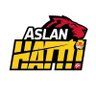 Aslan Hattı profil fotoğrafı