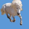 Smilla Lange's profile picture
