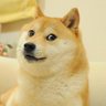 Фото профиля F D O G E(糞の政府効率化局)