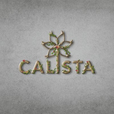 calistasocials's profile picture