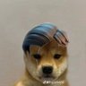 Chosen one's profile picture