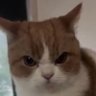 😾4月から復活 profil fotoğrafı