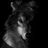 Steppen Wolf 的头像