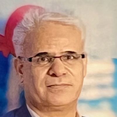 علی مصلحی's profile picture
