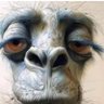 Profilbild von Lord Henry